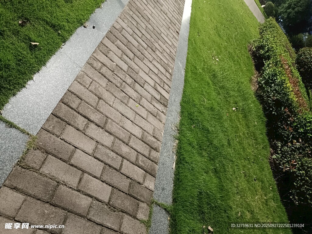 砖砌小径旁的翠绿草坪