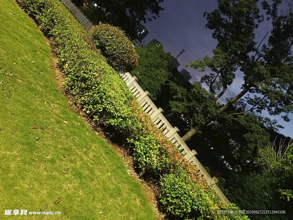 绿意盎然的河畔景观