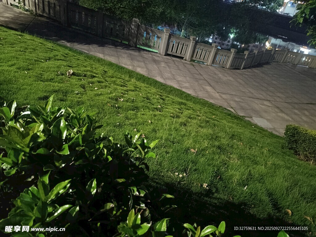 户外庭院绿植景观一角