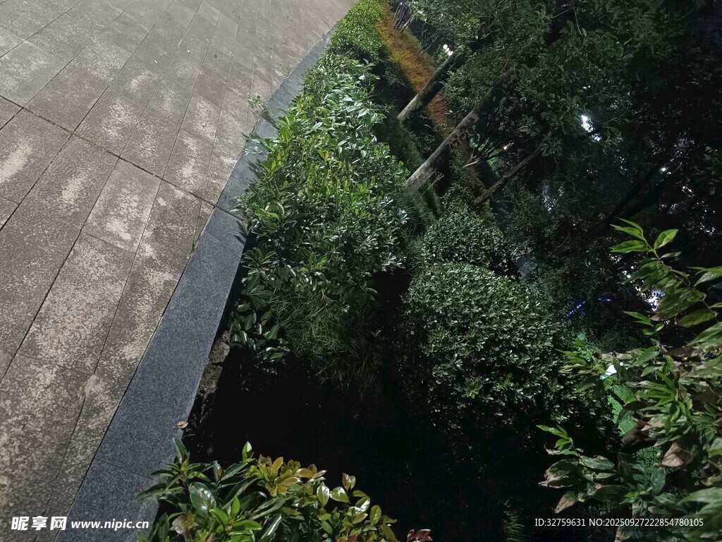 俯瞰路边繁茂绿植景观
