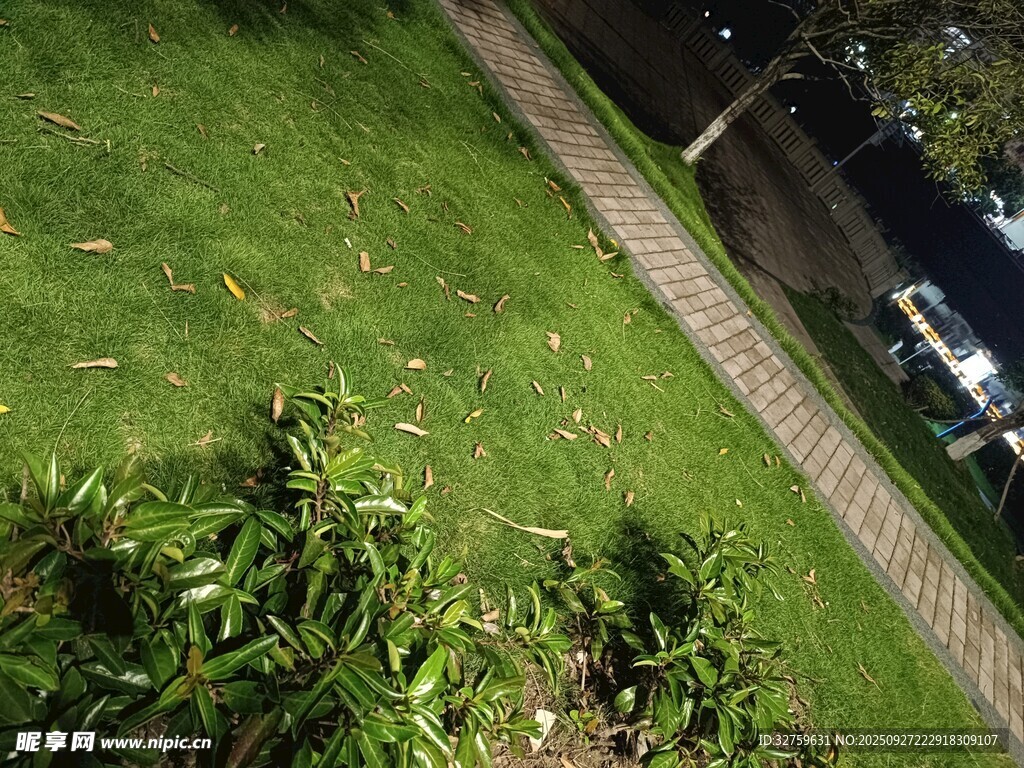 户外草坪与绿植景观