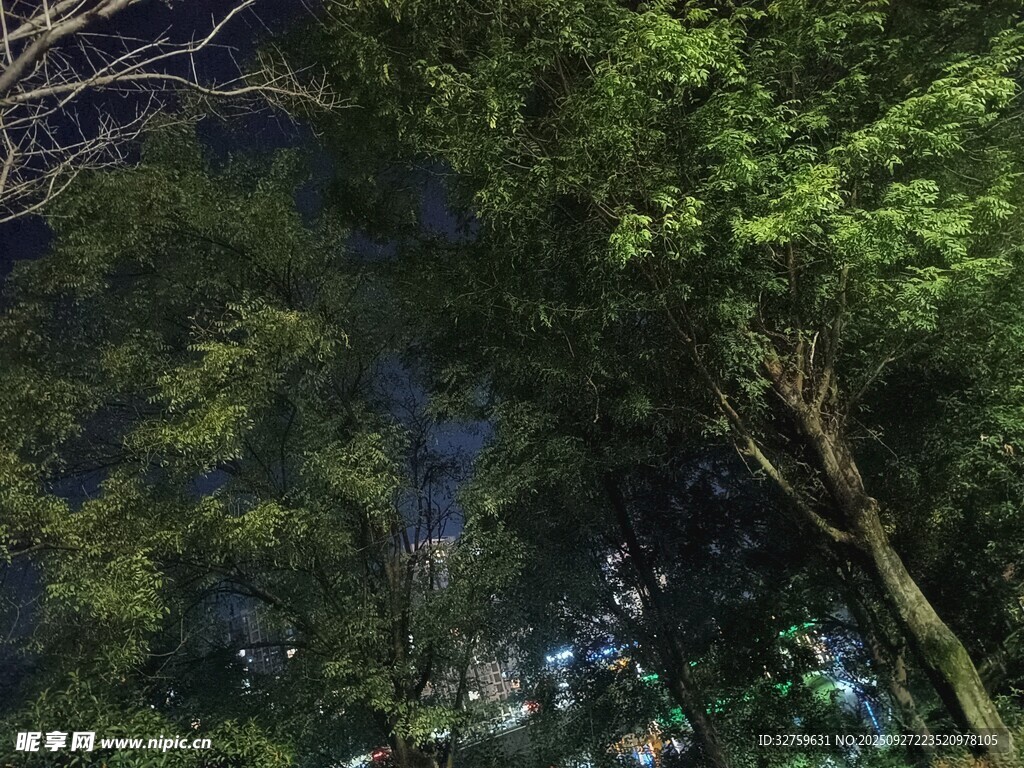 夜晚林间透出的城市微光