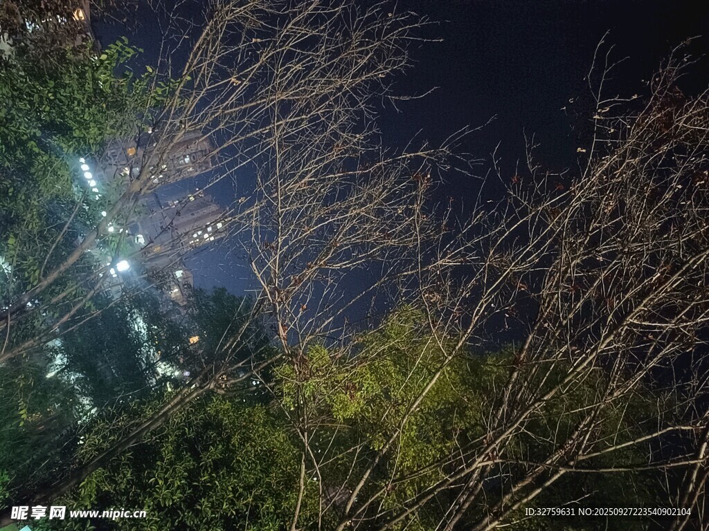 夜晚树林间的城市灯光