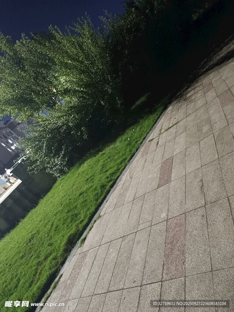 夜晚的草地与砖石步道