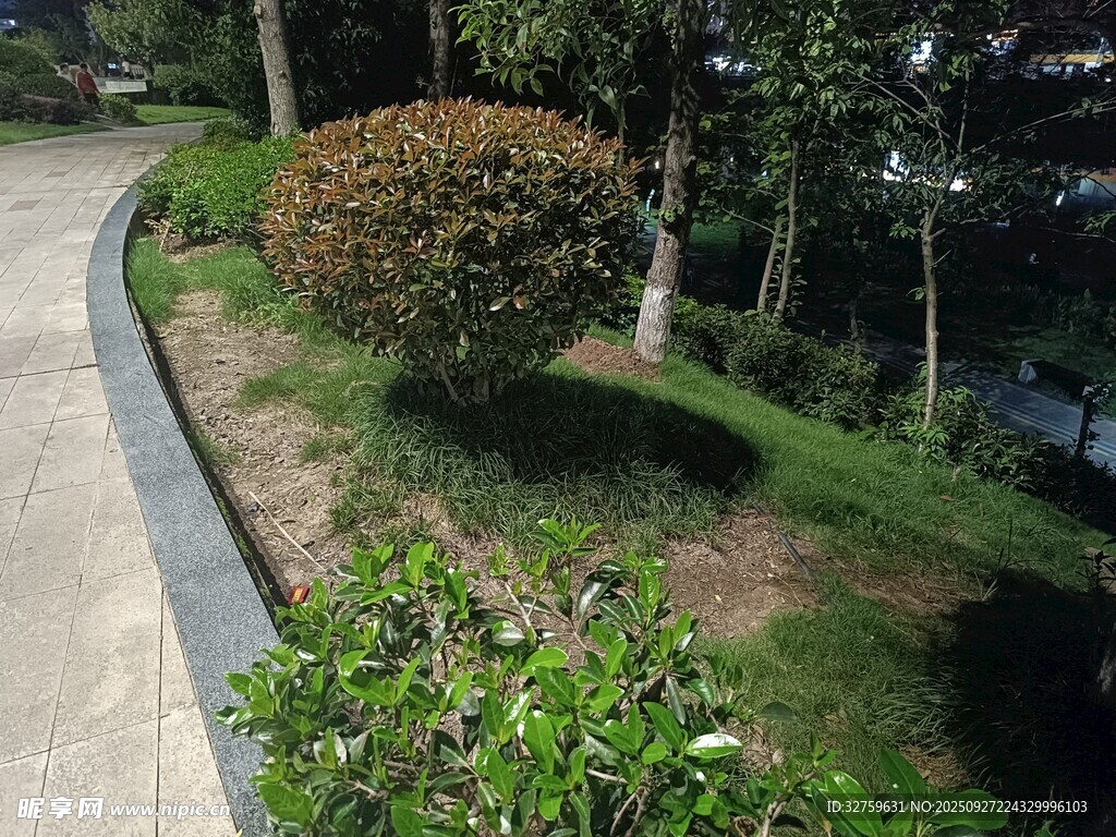 路边绿植景观