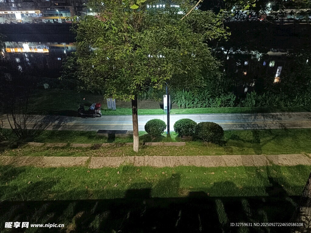 城市夜景中的绿植景观