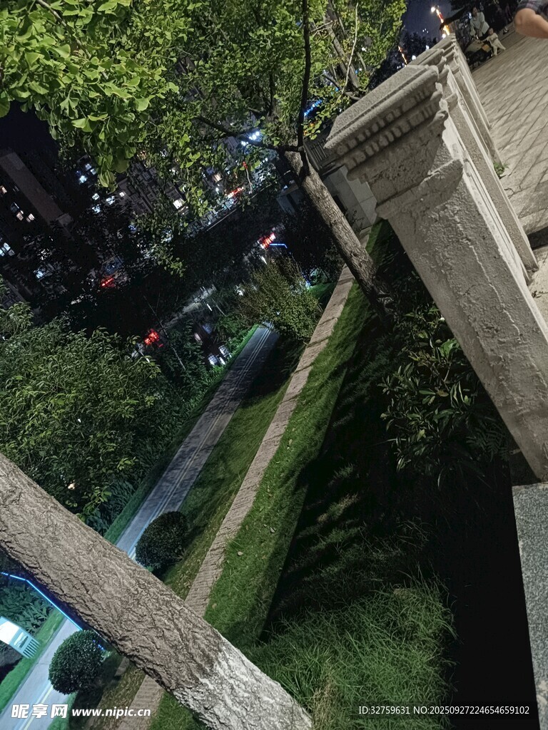 夜晚公园中的蜿蜒小径