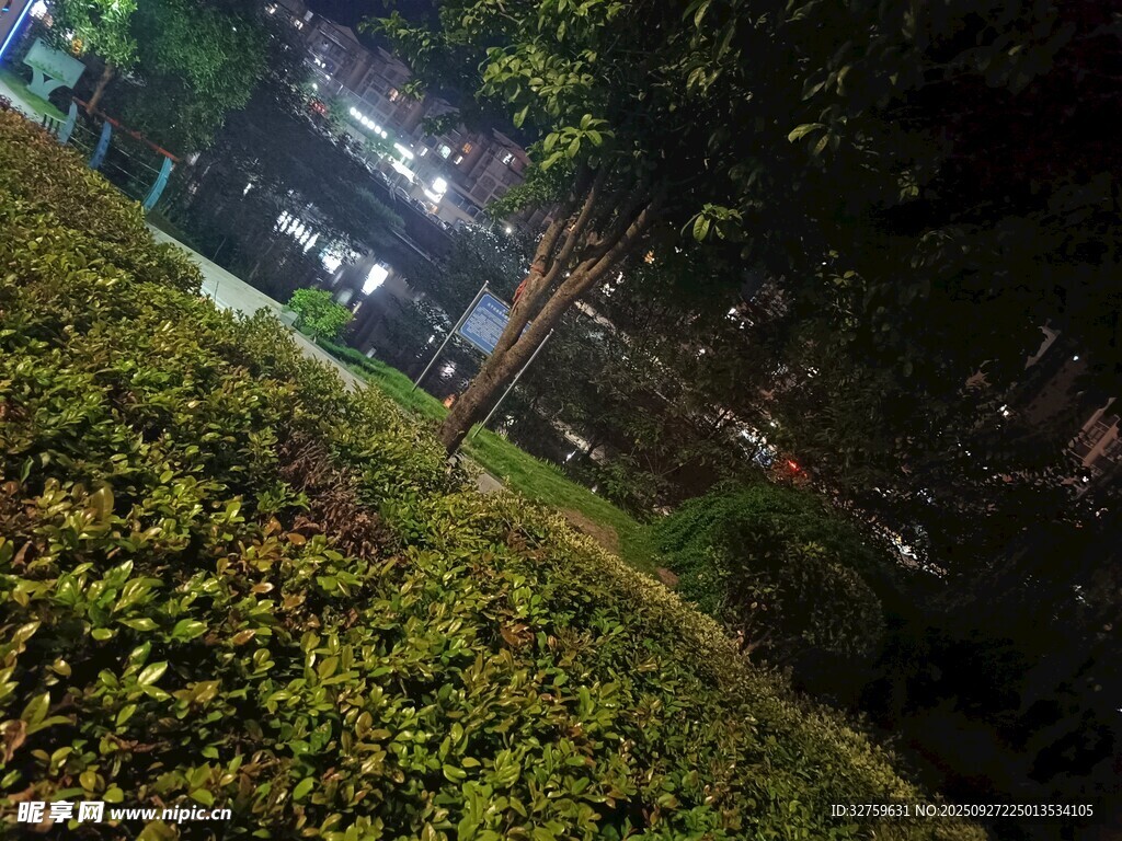 夜晚绿植环绕的静谧景象