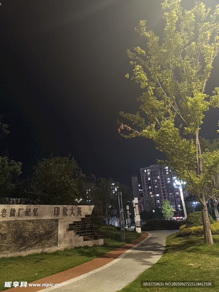 夜晚校园小径与绿植景观