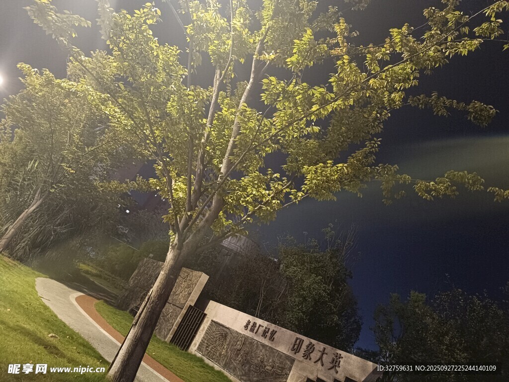 湖畔绿树夜景