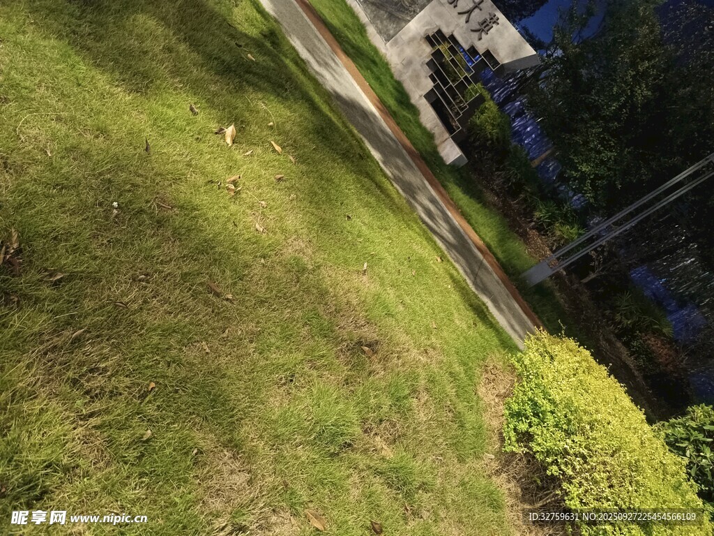 屋顶绿植景观