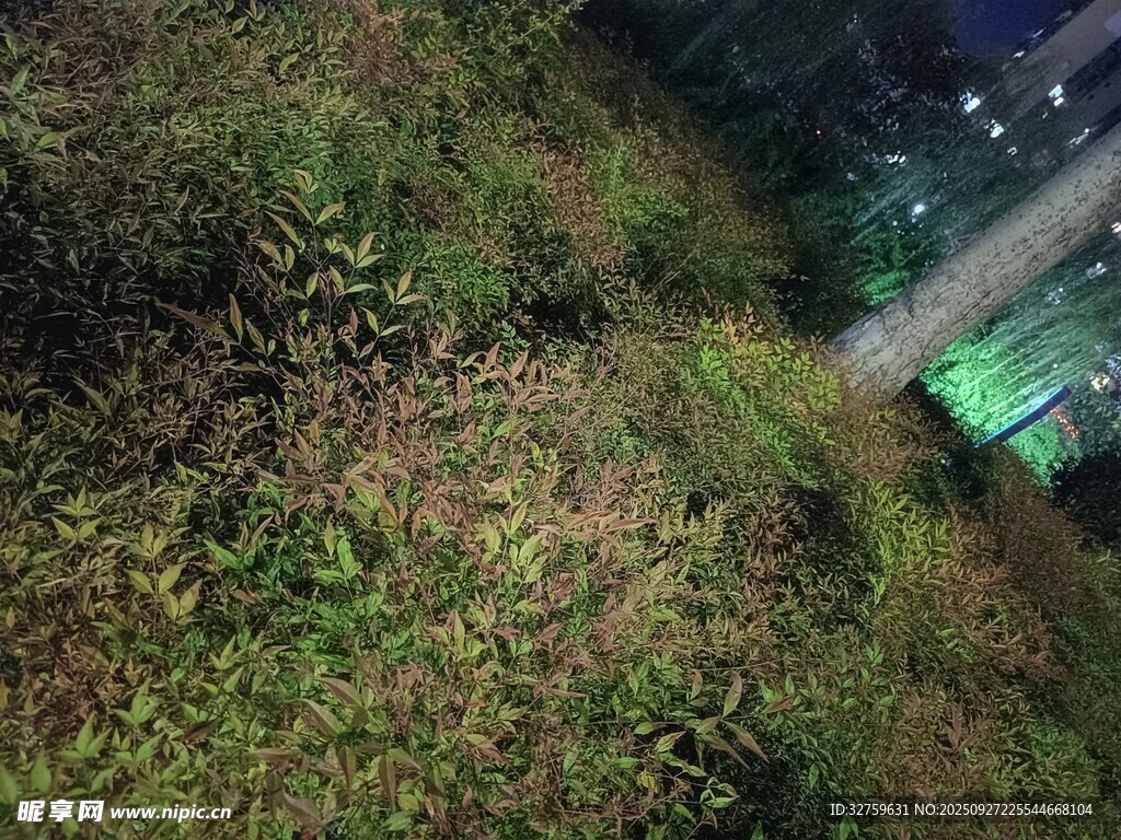 屋顶绿植景观