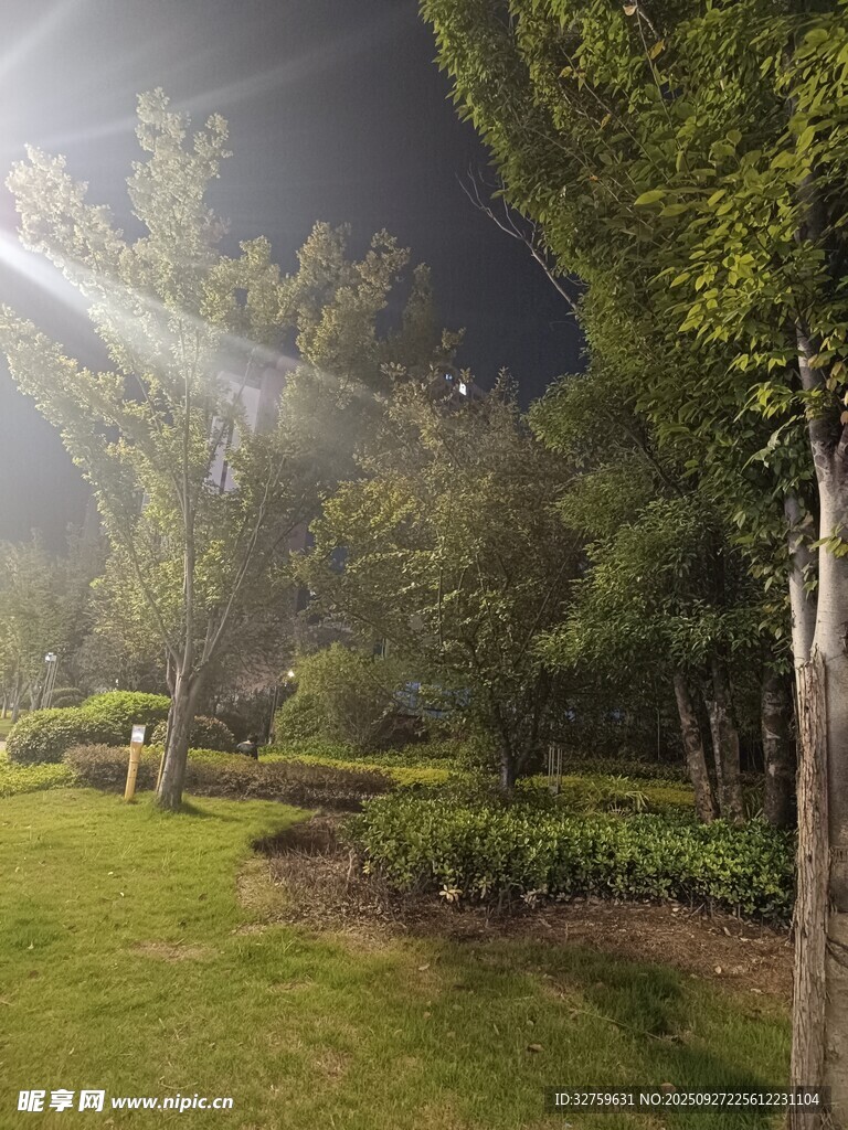 夜晚公园绿地灯光美景