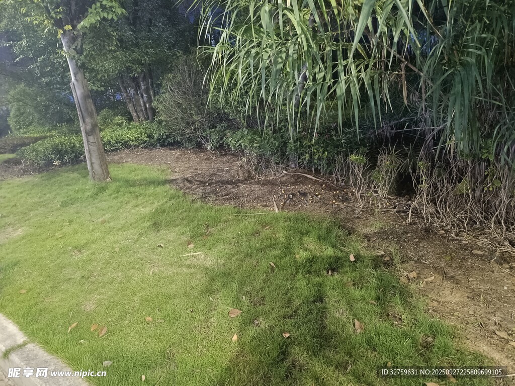 绿意盎然的户外草坪景观