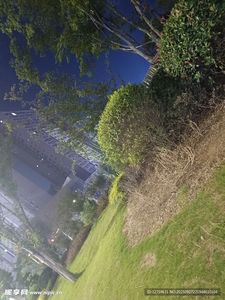 公园绿植景观