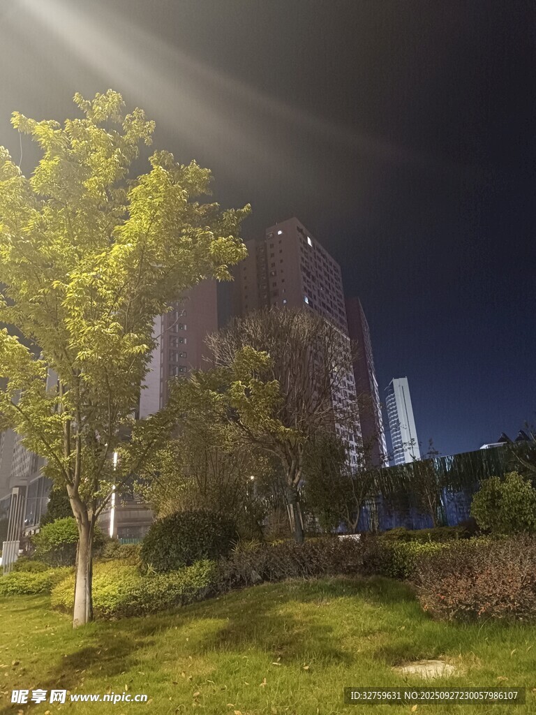 夜晚小区绿植与高楼景观