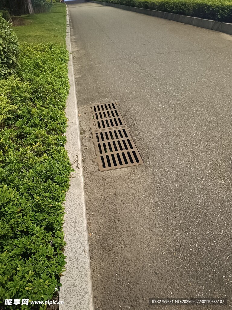路边排水口与绿植景观