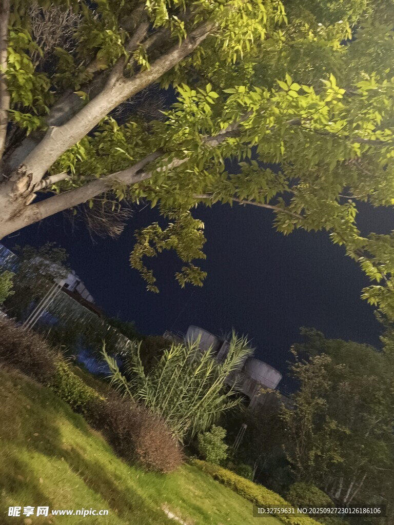 湖畔绿树成荫的静谧景致