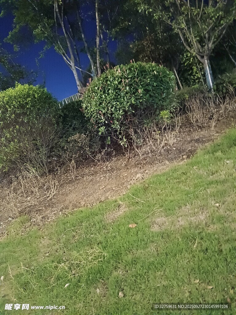 户外绿植草地景观