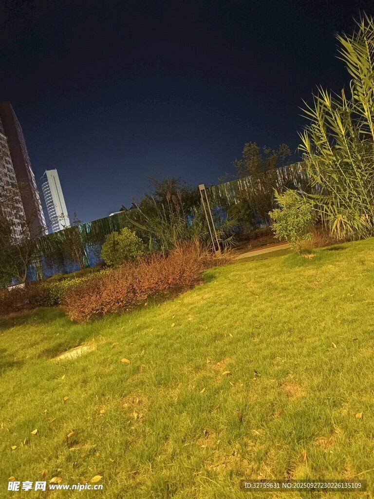 夜晚草坪旁的绿植景观