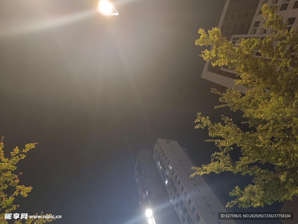 夜晚城市中朦胧的灯光与树