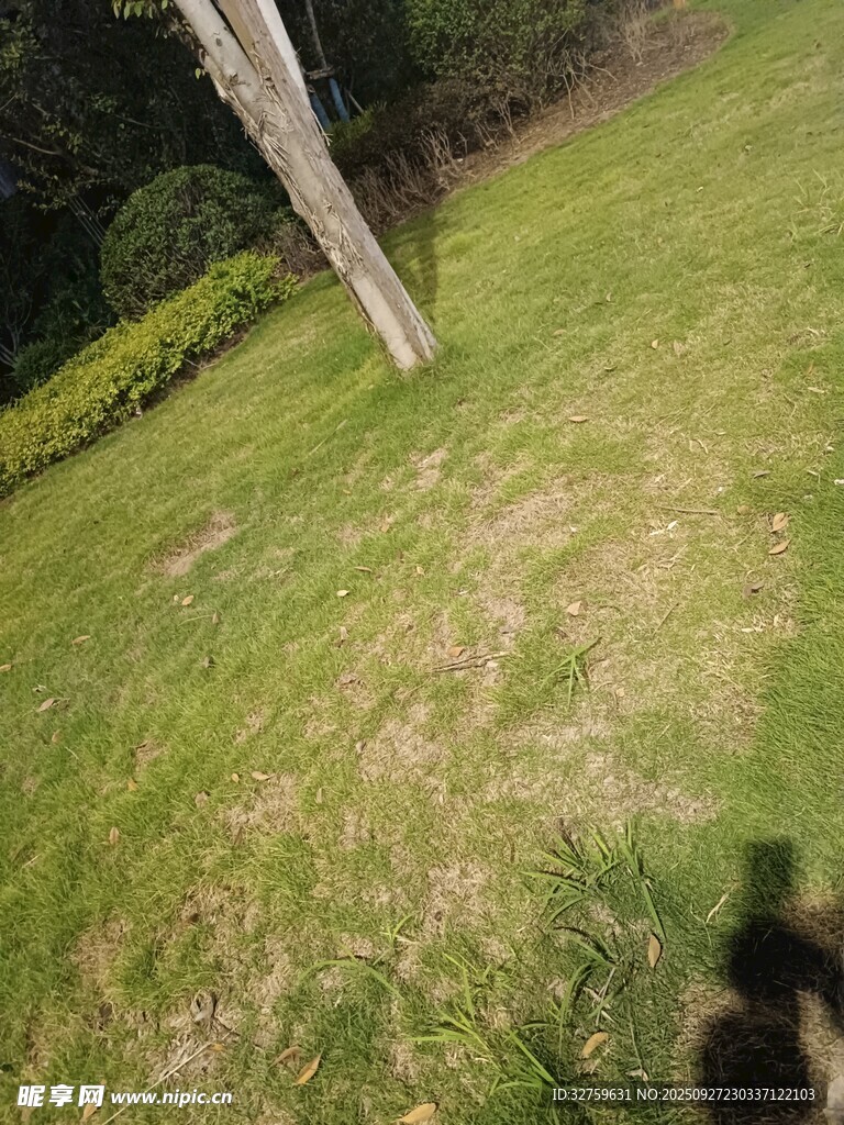 户外草地中的木桩景观