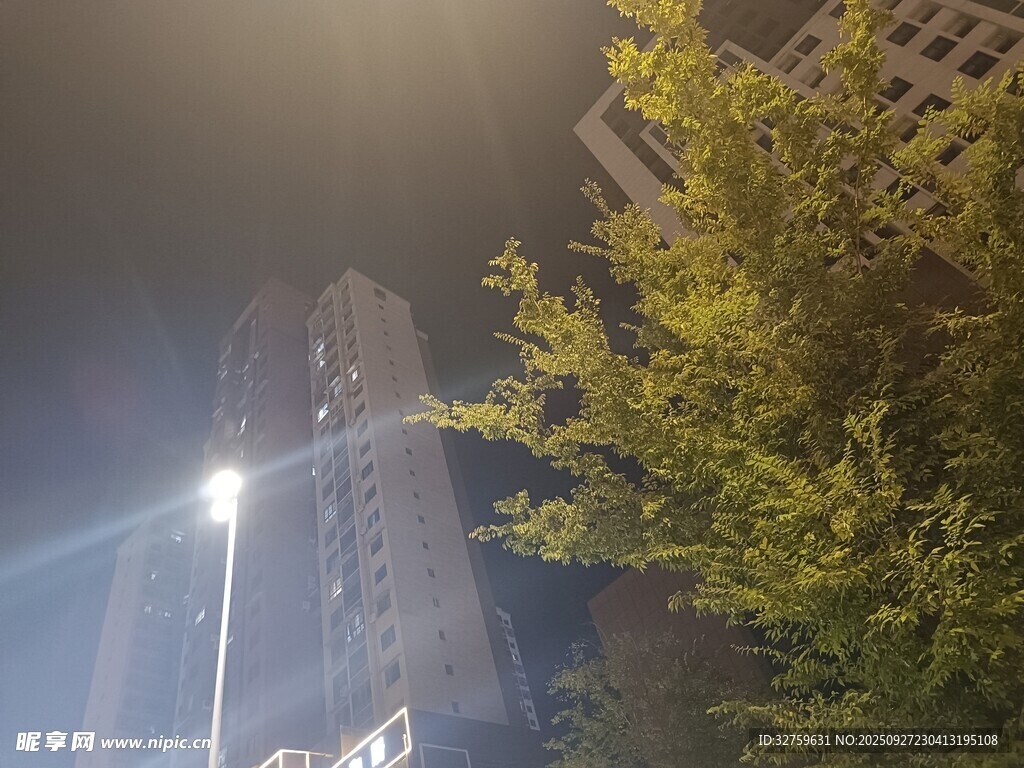 雾中高楼与路灯旁绿树