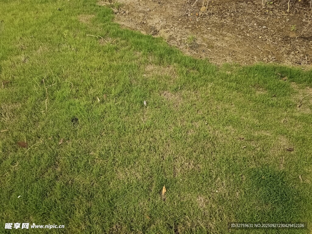 户外绿地局部景观