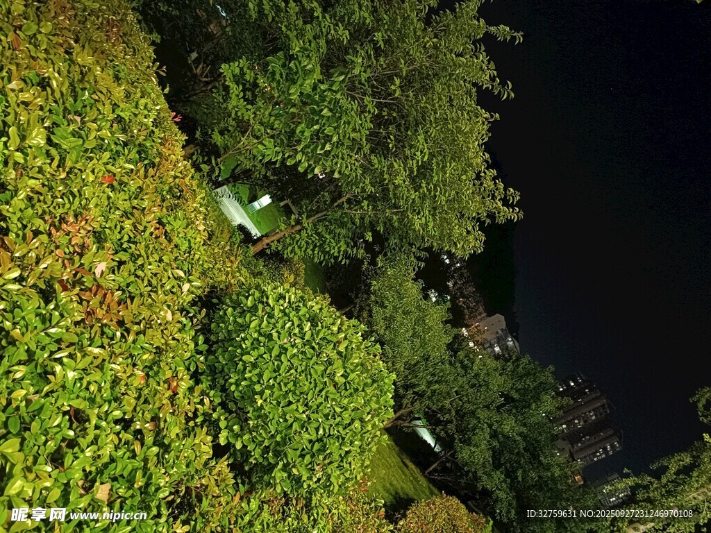 空中俯瞰葱郁绿色植被