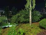 夜晚绿植景观