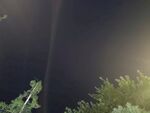 夜空中的光束与绿植