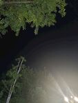 夜晚林间灯光穿透枝叶