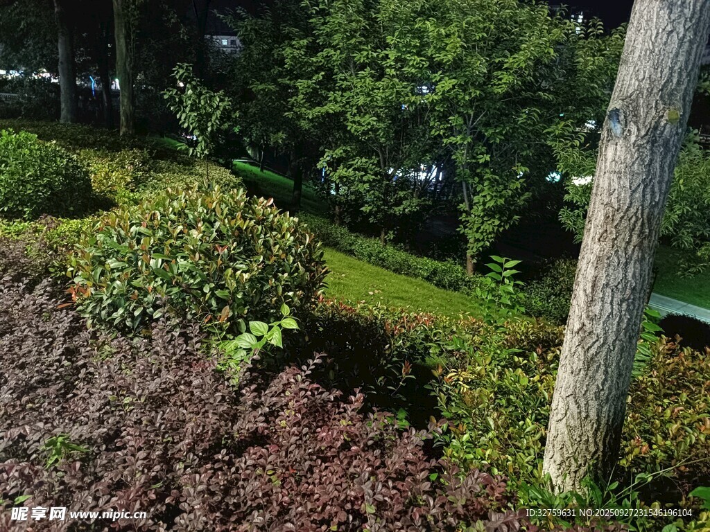 城市绿化带中的绿植景观