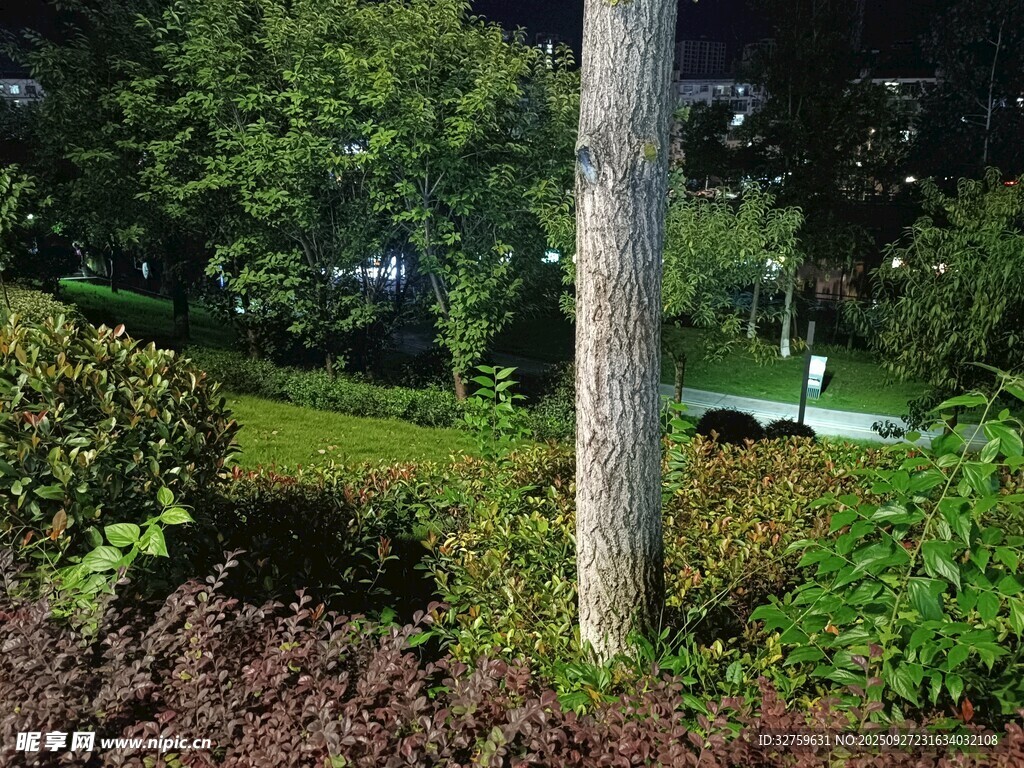 户外绿植与树木景观