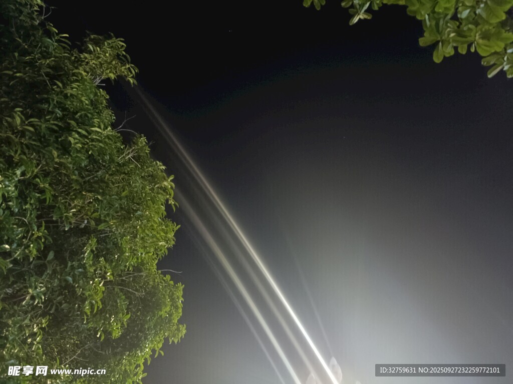 夜空下的飞机尾迹与绿树