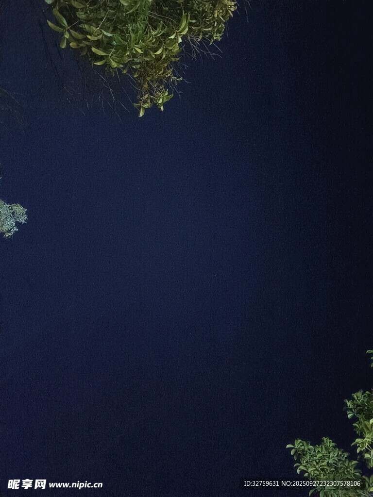 俯瞰深蓝水域与绿植