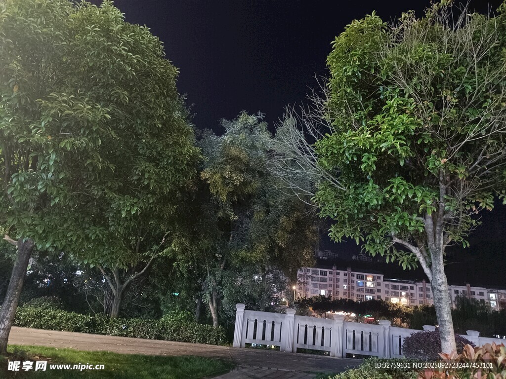 夜晚园林中的温馨景致