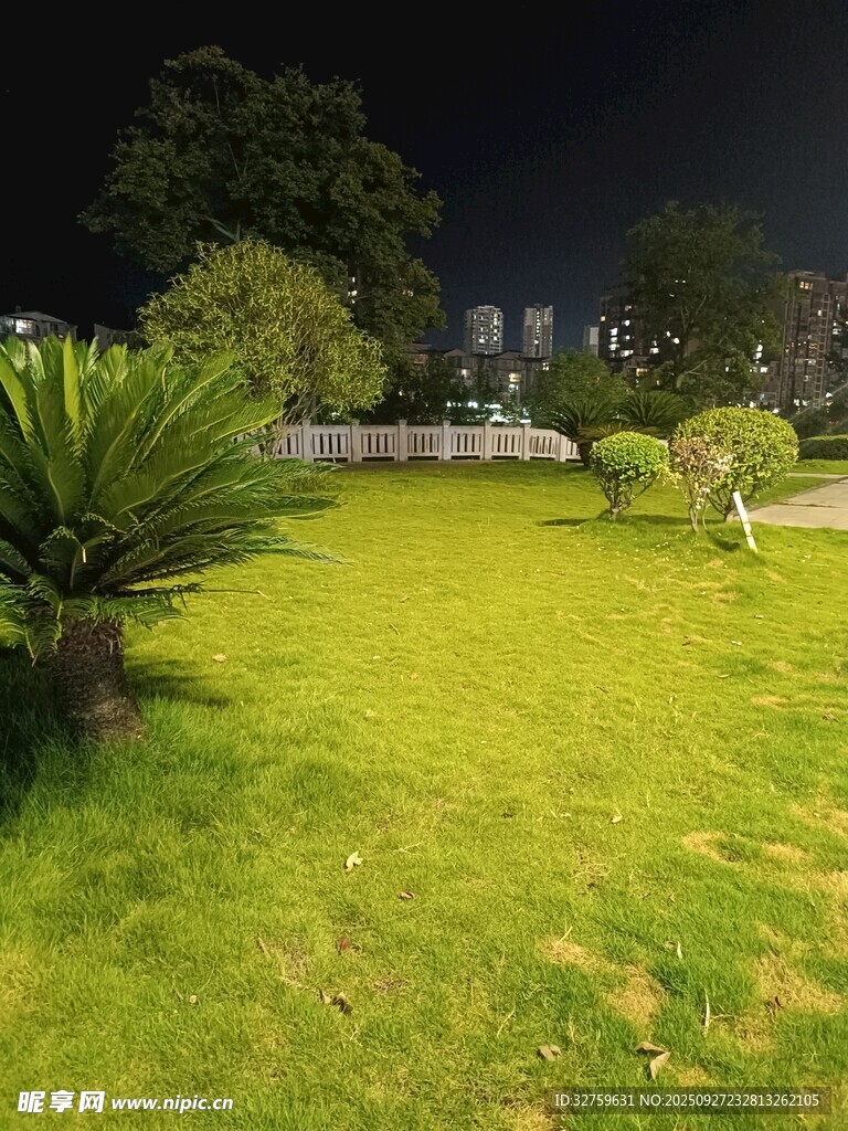 夜晚公园绿地景观