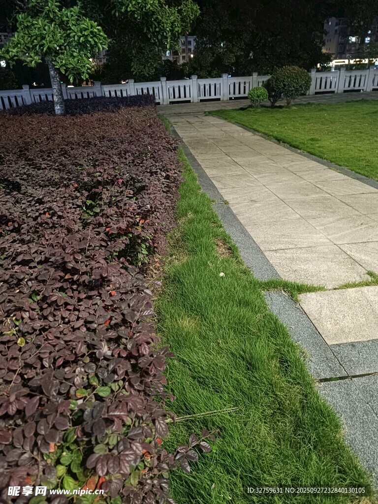 路边绿植景观