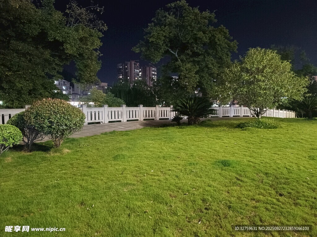 夜晚静谧的草坪与绿植景观