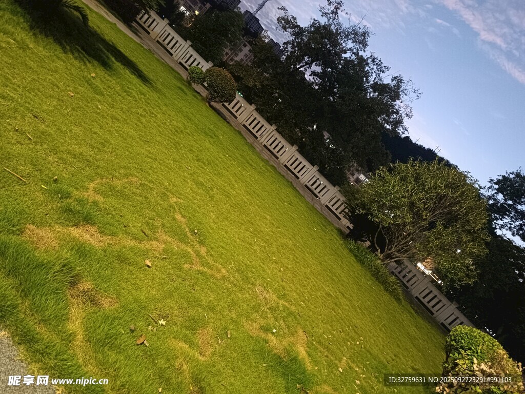 户外翠绿草地与树木景观