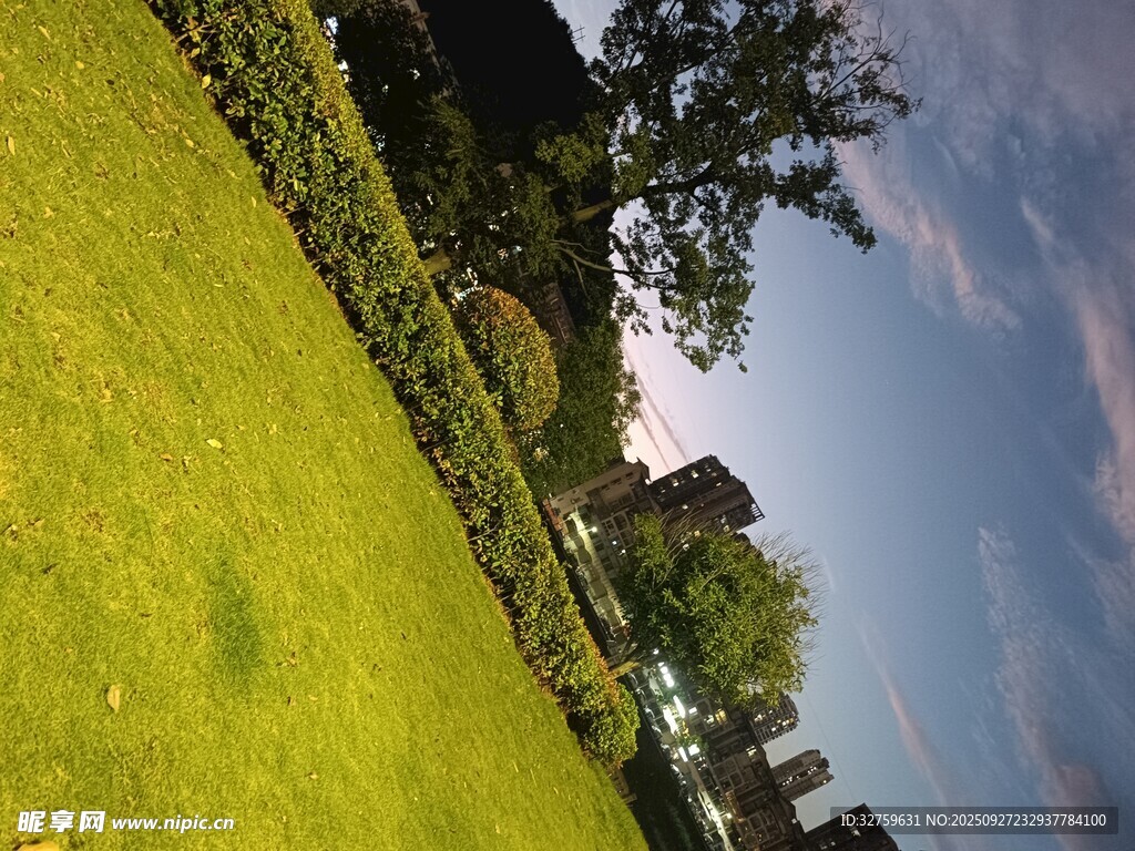 户外翠绿草地与蓝天景色