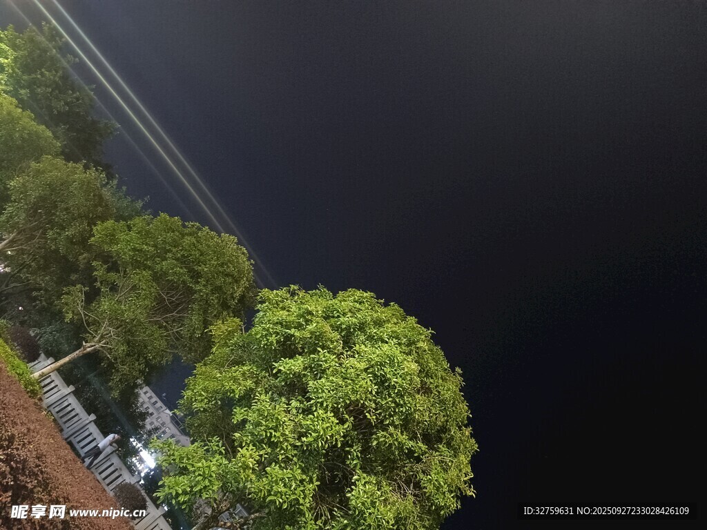 高空俯瞰绿树与建筑