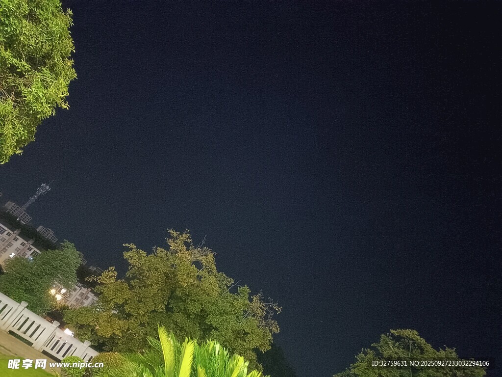 夜空下的绿植与建筑景观