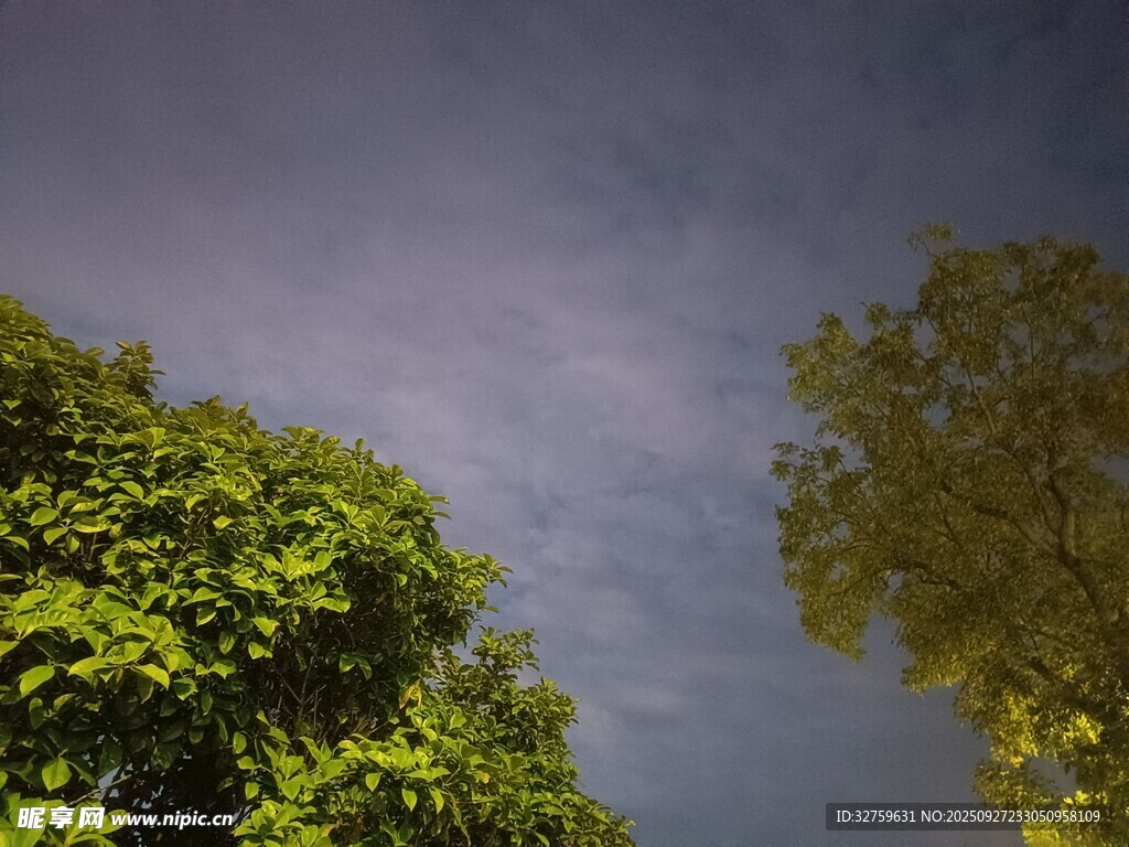 绿树映衬下的天空美景