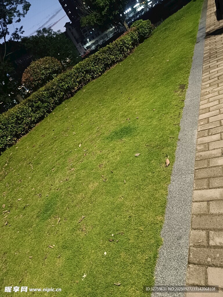 整洁草坪与砖砌小径景观