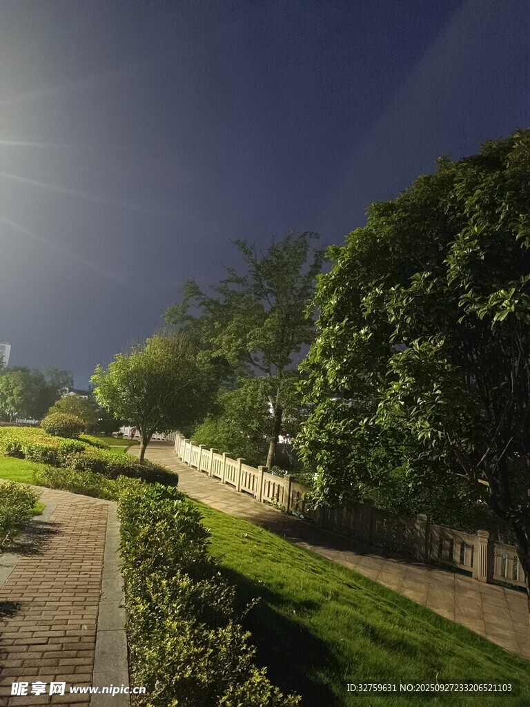 夜晚公园小径的静谧景致