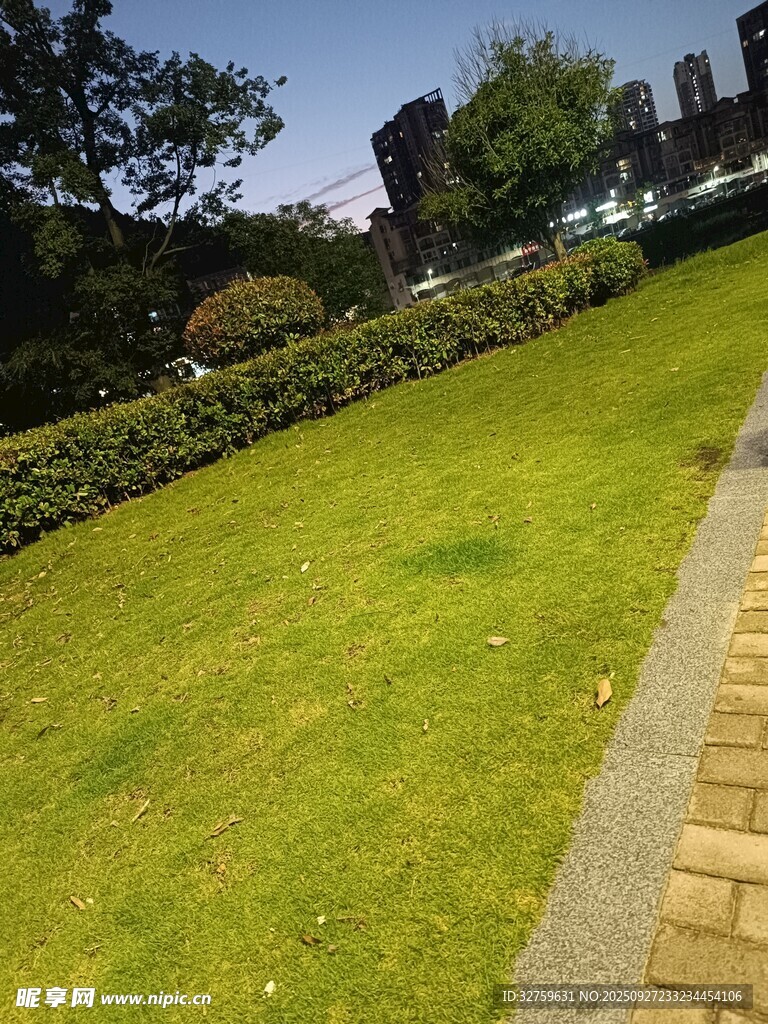 户外翠绿草坪与砖石小径