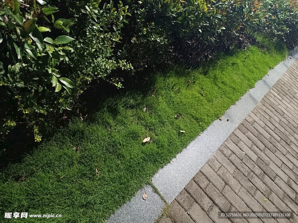 砖砌小径旁的翠绿草坪