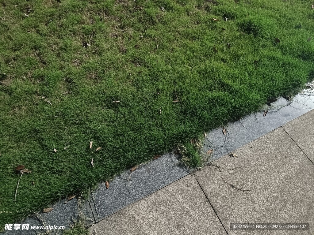 路边草地与湿润地面景象
